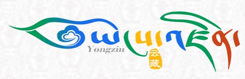 藏文搜索引擎:YongZin云藏logo