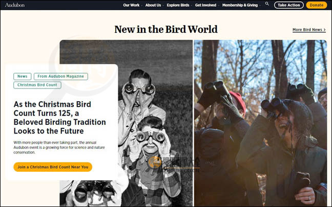 Audubon首页缩略图2
