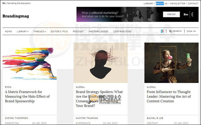 BrandingMagazine首页缩略图