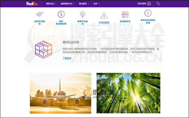 FeDex首页缩略图2