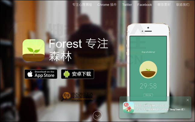 Forest首页缩略图