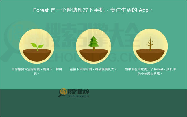 Forest首页缩略图2