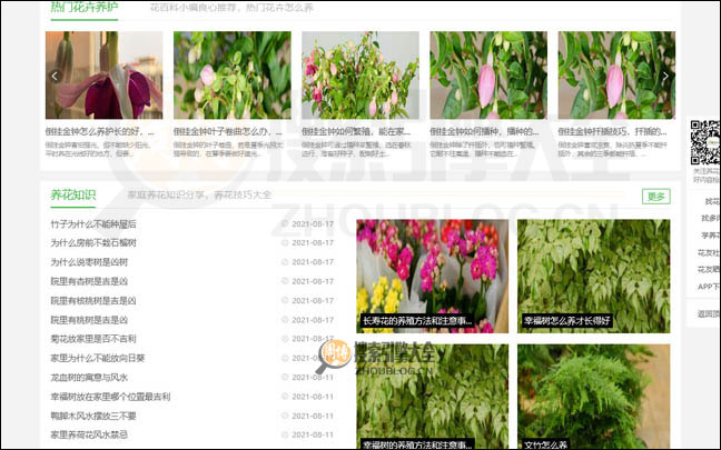 花百科首页缩略图2