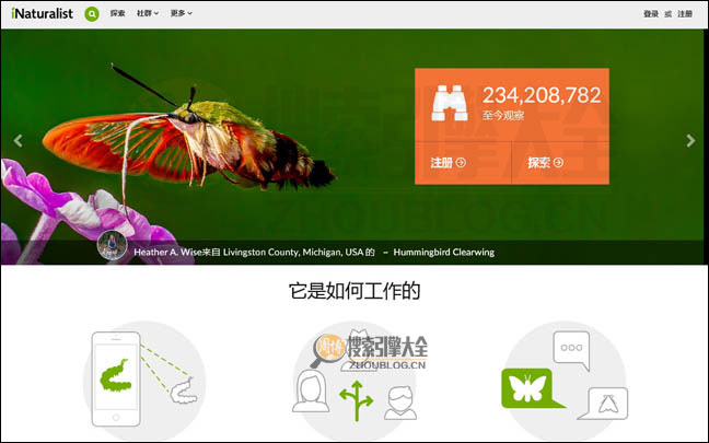 InaturaList：基于分享的大自然生物网【美