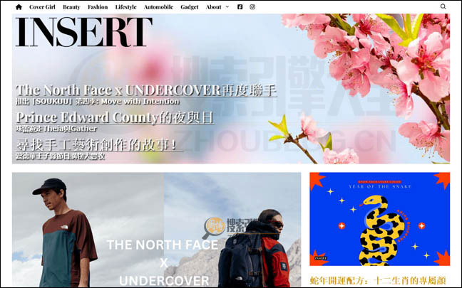 InsertMag：加拿大亚洲生活杂志