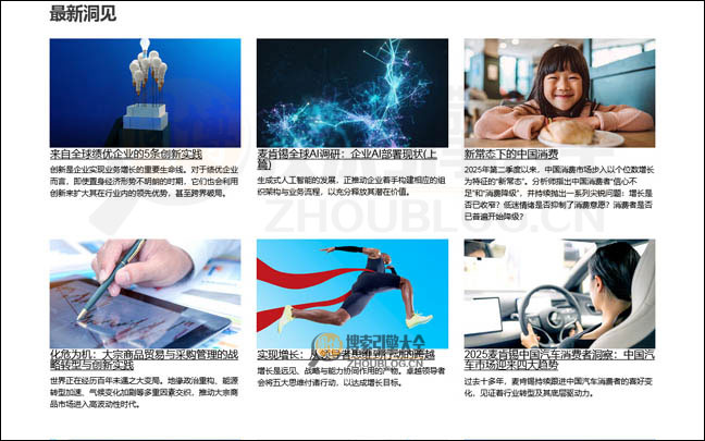 Mckinsey首页缩略图2