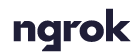 Ngrok logo