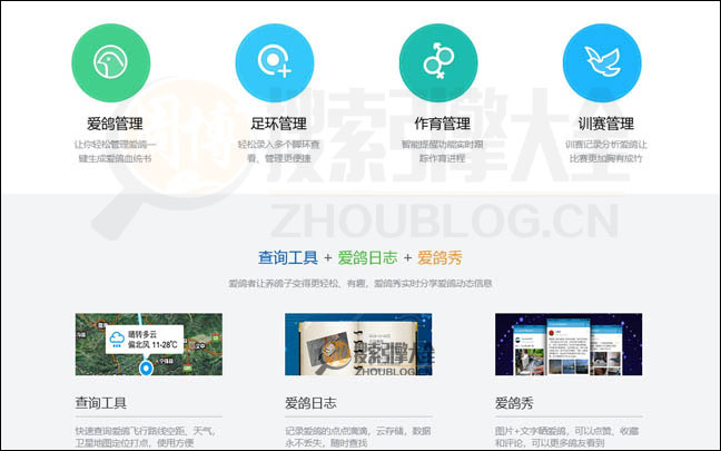 爱鸽者首页缩略图2