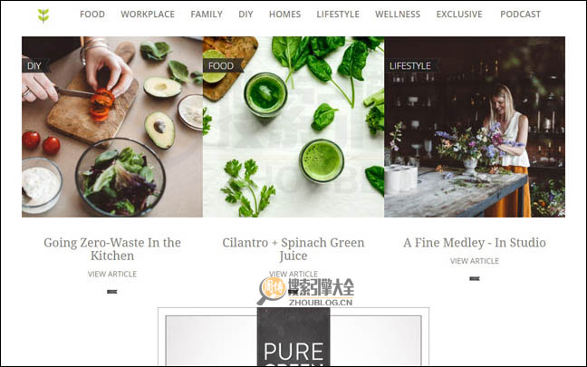 PureGreen首页缩略图2