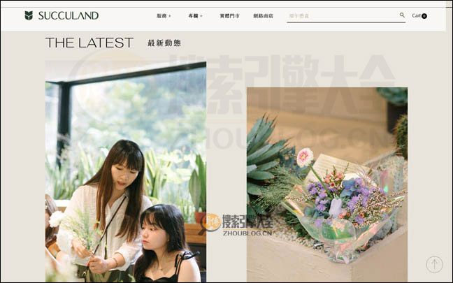 Succuland首页缩略图2