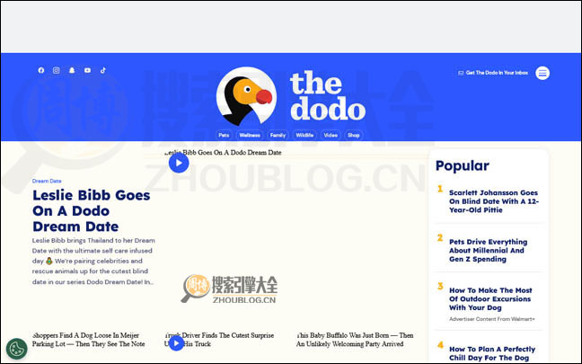 TheDoDo：在线宠物图片聚合网【美国】