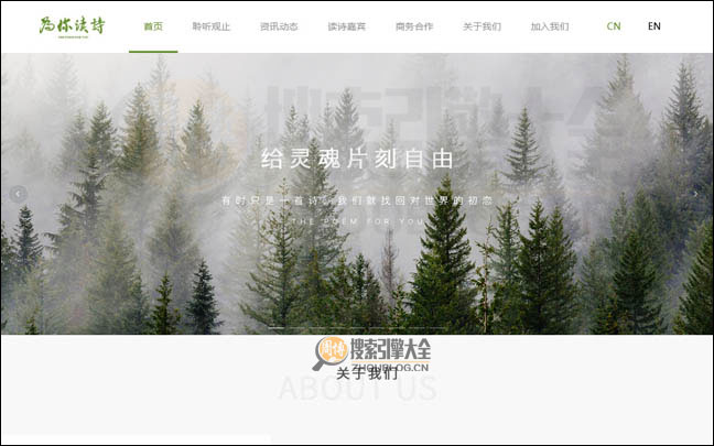 ThePoemForYou首页缩略图