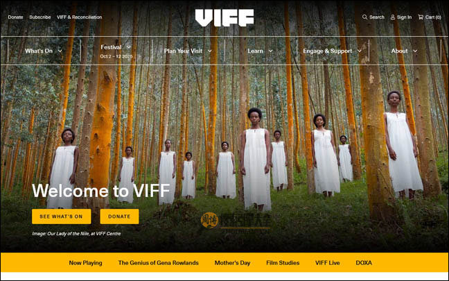 VIFF首页缩略图